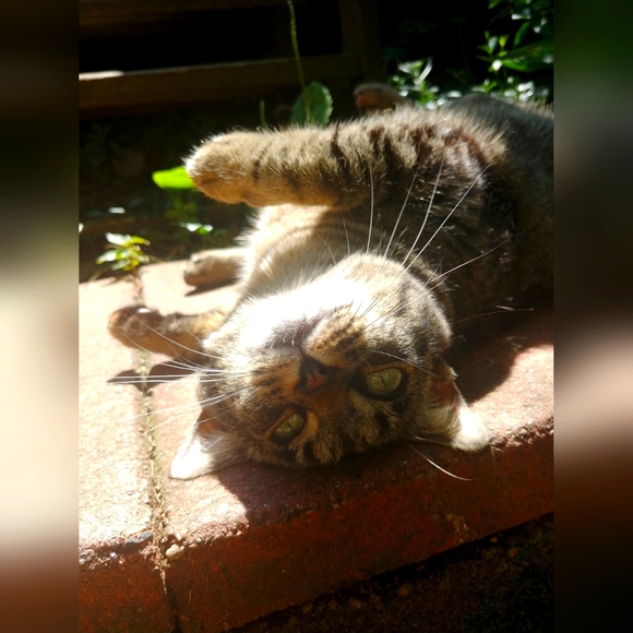 About me ❤😊 - Picture 3 of 4